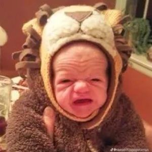 Meet your Posher, Talon